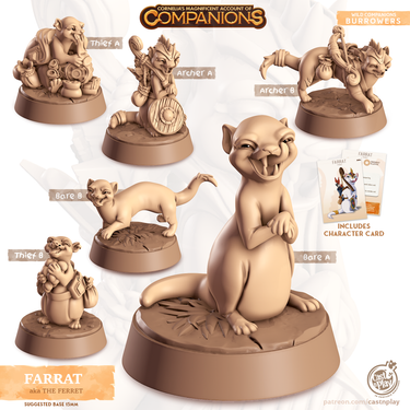 Farrat the Ferret